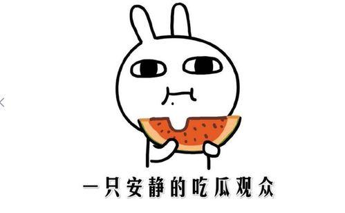 吃瓜事件是什么意思,网络舆论场中的热点追踪与反思